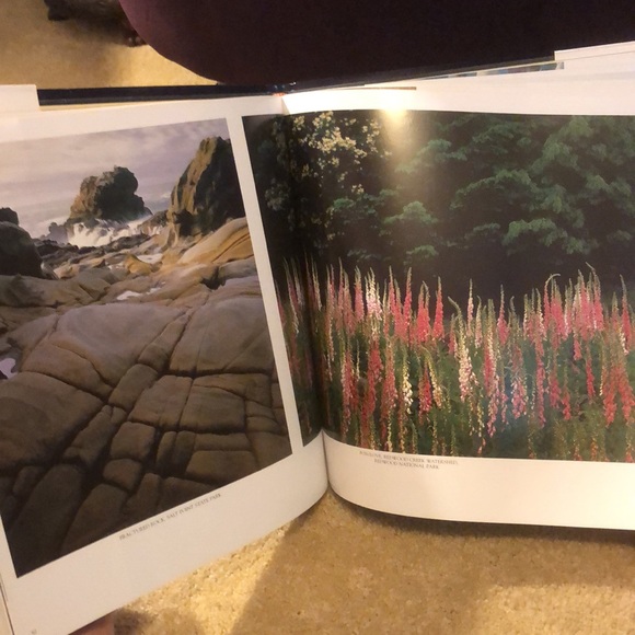 WILD & SCENIC CALIFORNIA THE NATURAL LANDSCAPE • PHOTOGRAPHY BY CARR CLIFTON - Picture 11 of 17